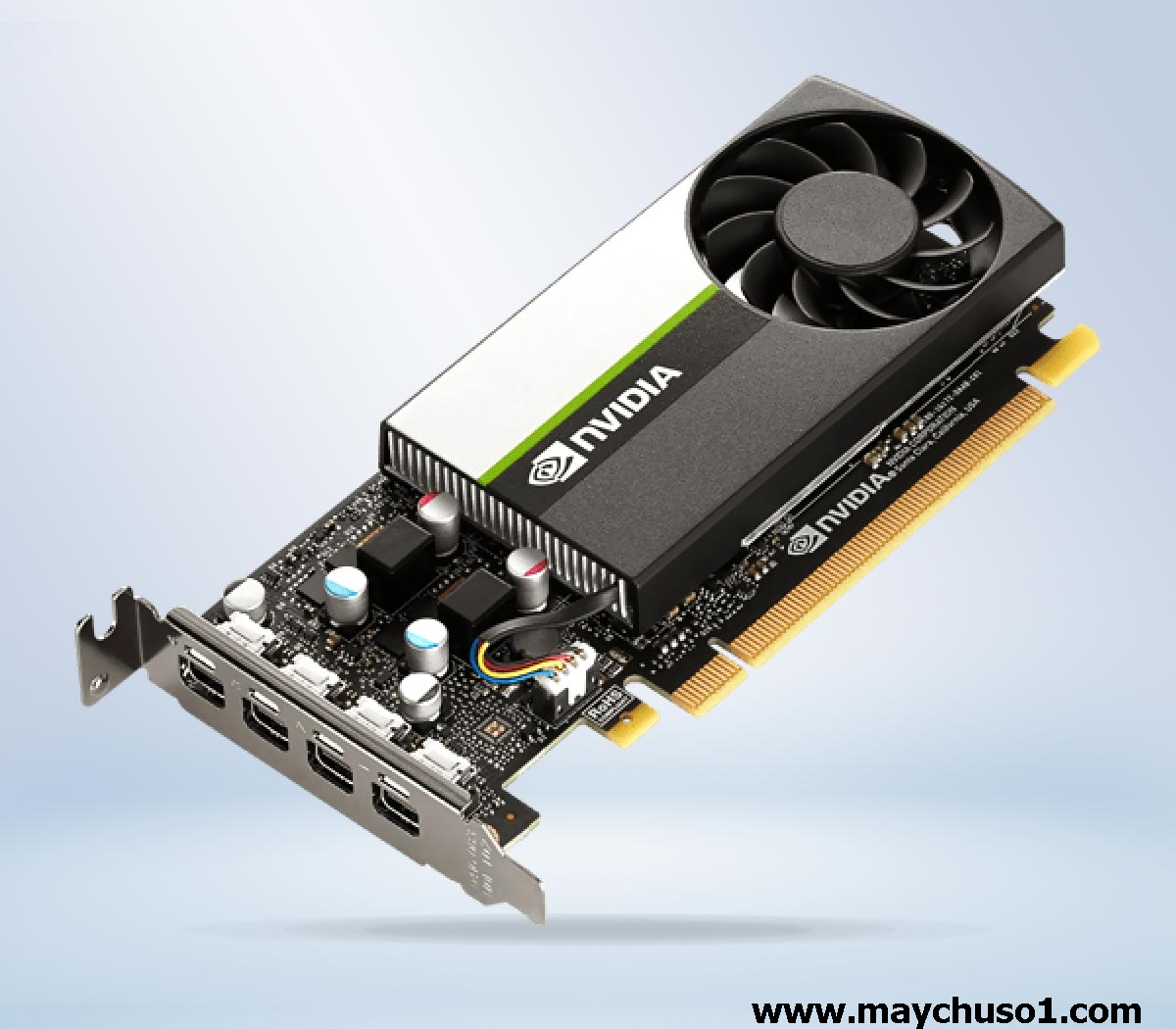 Card đồ họa ASUS NVIDIA T1000 8GB