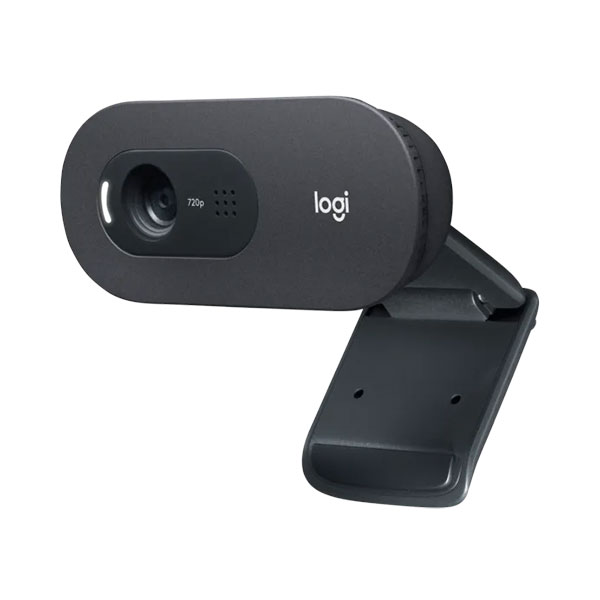 Webcam Logitech C505E