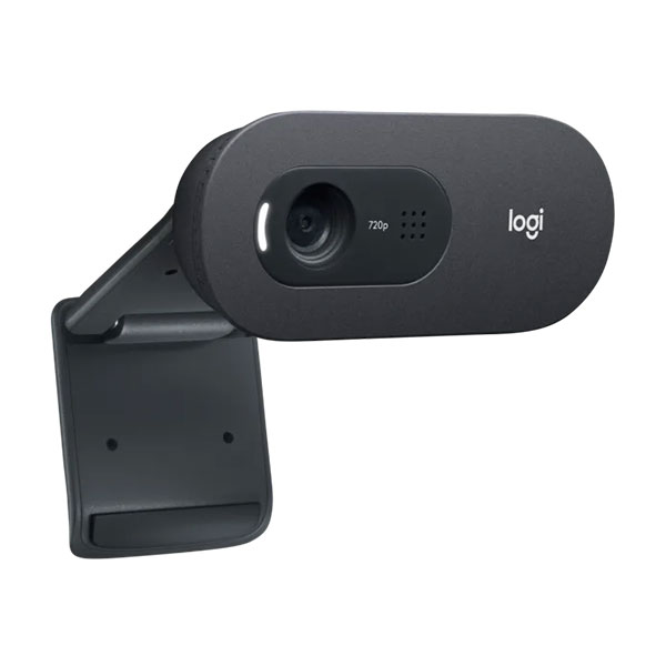 Webcam Logitech C505E