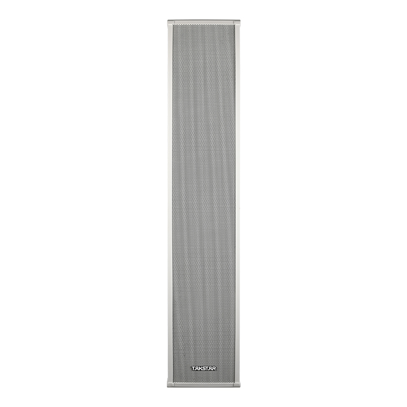 Loa cột ngoài trời EBS-100W