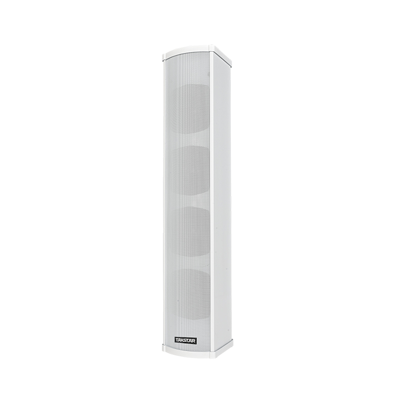 Loa cột chống nước chuyên nghiệp EB-100