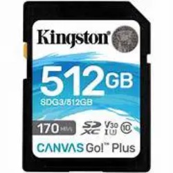 Kingston Canvas Go Plus SDXC 512GB (SDG3/512GB)