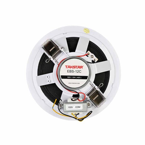 Loa âm trần Takstar EBS-12C