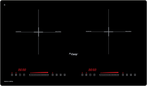 Bếp từ Canzy CZ IC99PLUS
