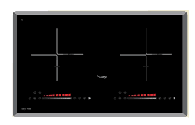 Bếp từ Canzy CZ PUJ66E