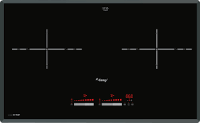 Bếp từ cao cấp 2 Từ Canzy CZ 922P, Hai bản mạch
