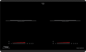 Bếp từ cao cấp 2 TỪ CANZY CZ 9979 GRC