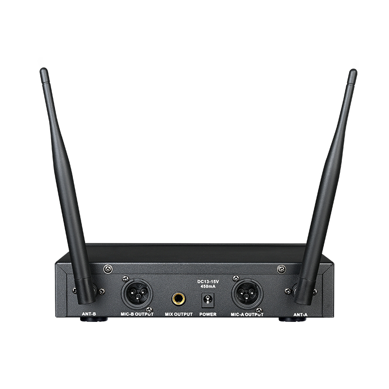 Bộ micro không dây cầm tay UHF kênh kép TS-3310UH