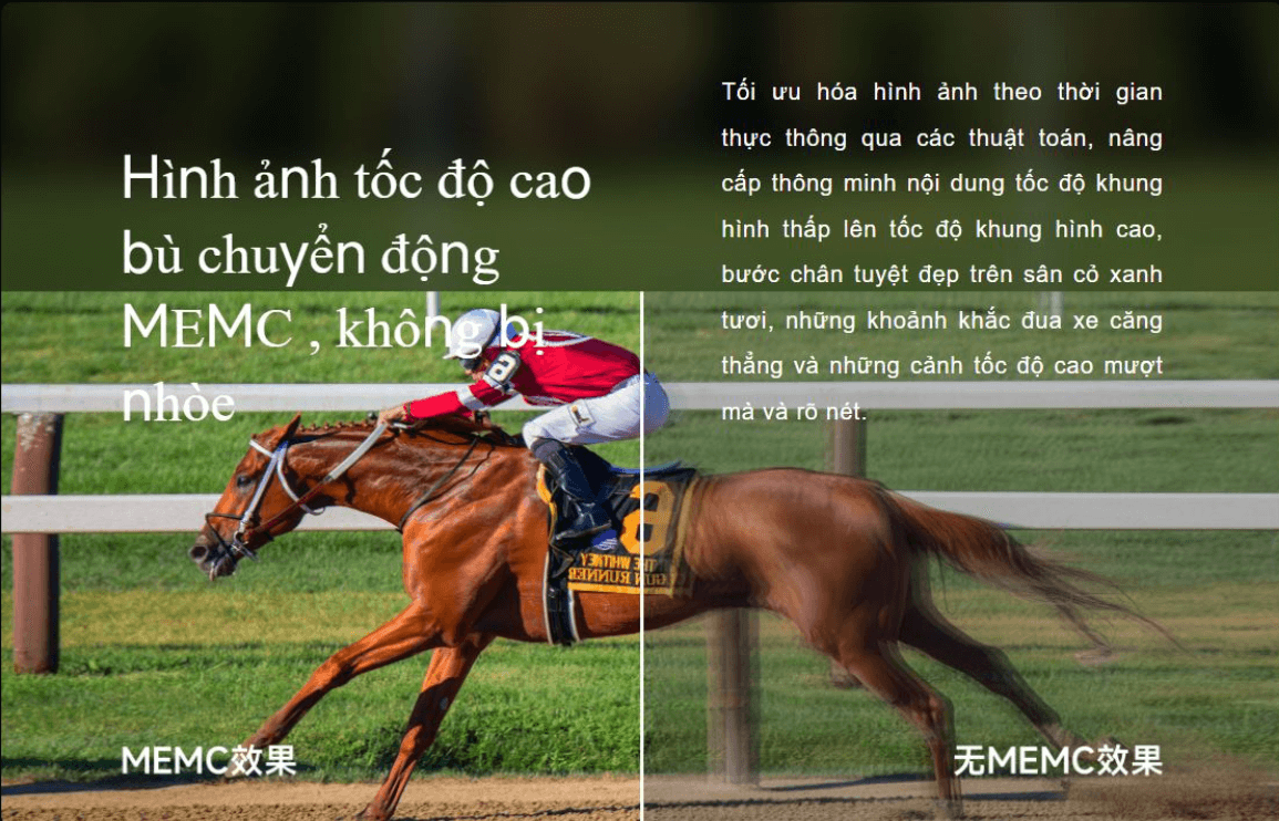 2-1.png?v=1689237240476