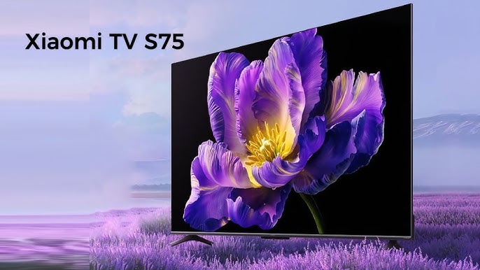 S75 Mini LED