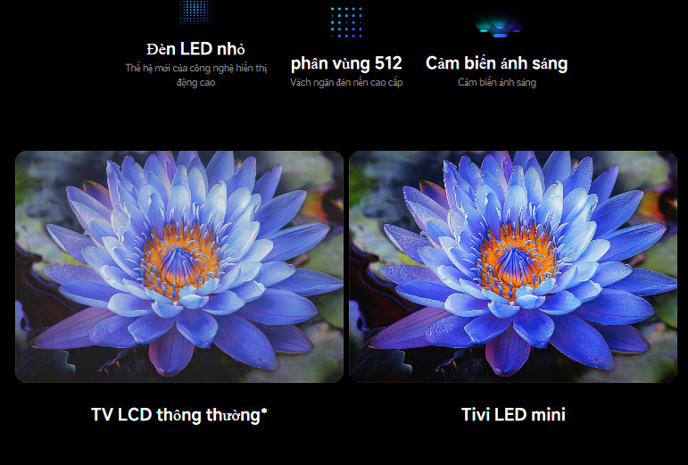 S65 Mini LED