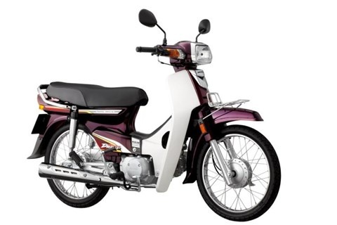 Bộ nan hoa (căm) trước Super Dream Zin - Model: 06426-KFM-901