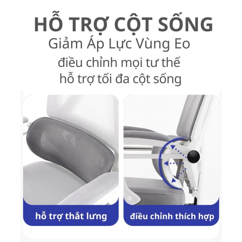 Ghế Công Thái Học TMS 07