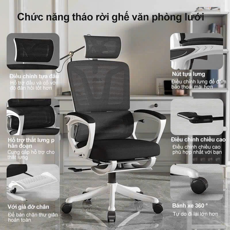Ghế Công Thái Học Cao Cấp TMS08