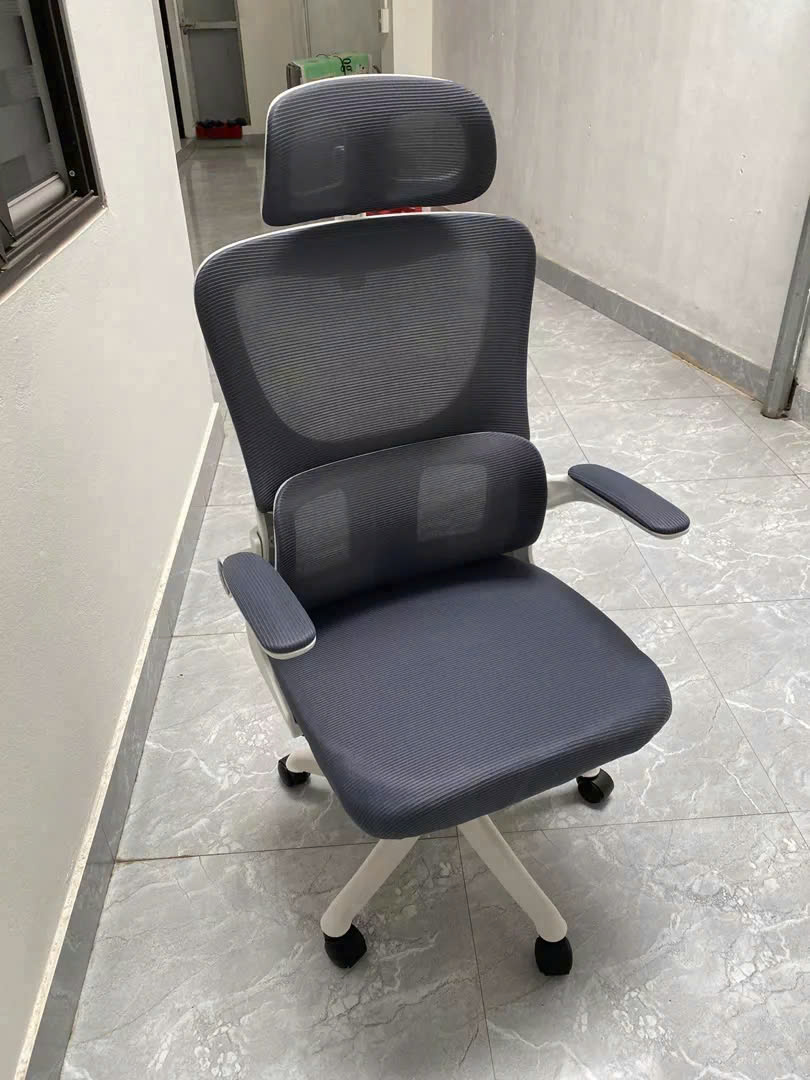Ghế Công Thái Học Giá Rẻ CTH418