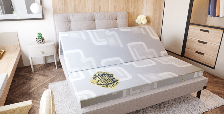 NỆM KIM CƯƠNG EUCOCO XƠ DỬA THIÊN NHIÊN VẢI GẤM XỐP GẤM 3 BH 12 NĂM