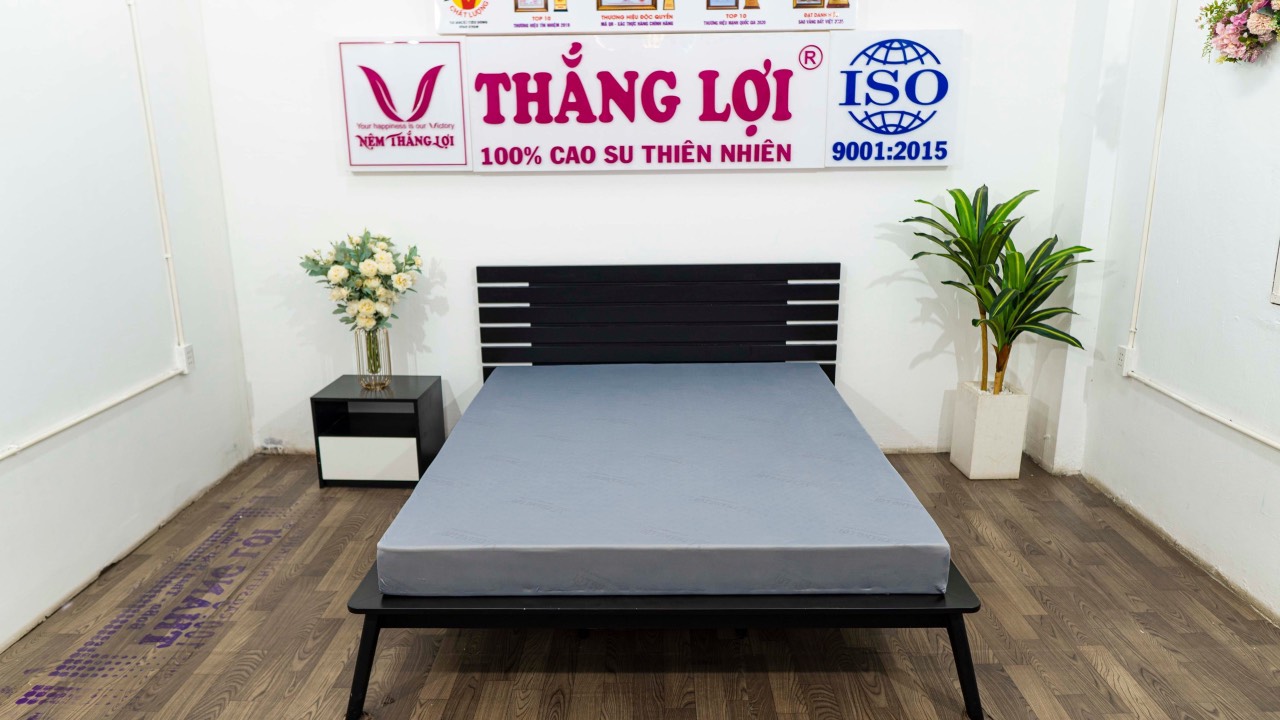 NỆM CS FOAM HOẠT TÍNH CAO CẤP THẮNG LỢI