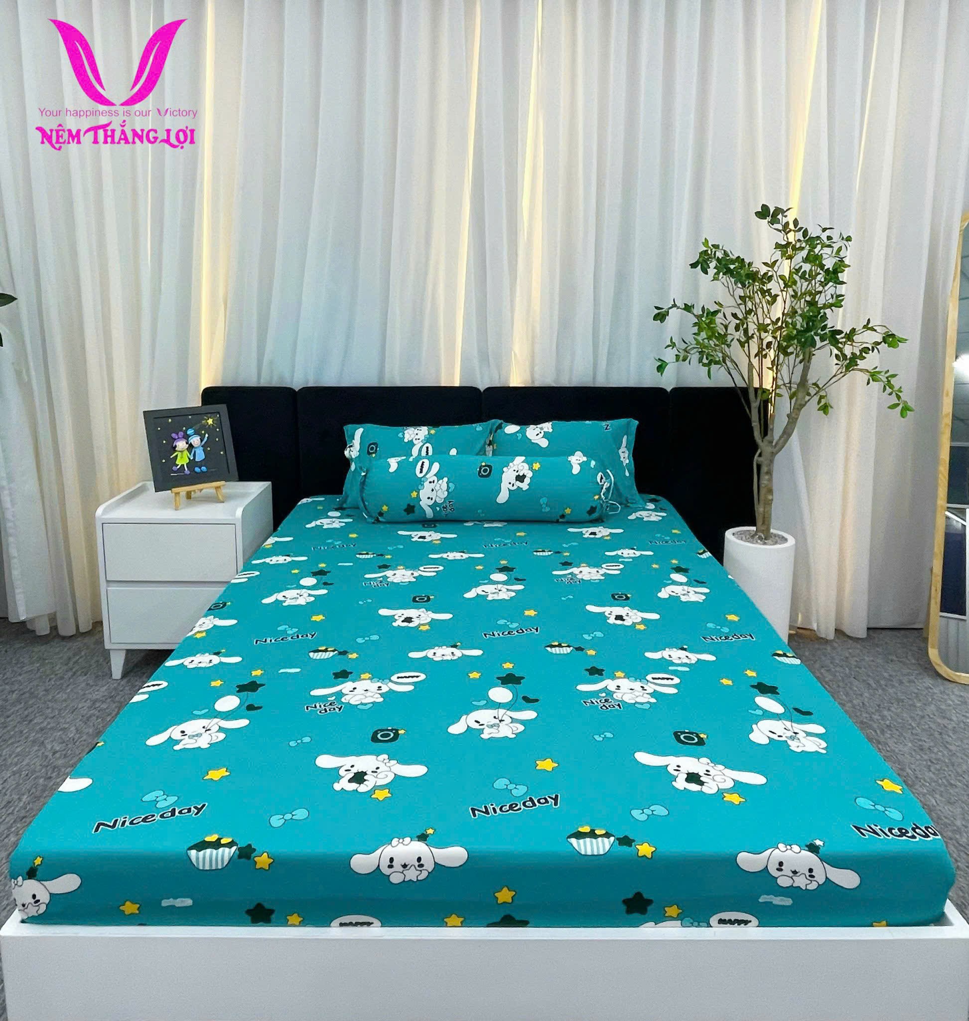 BỘ DRAP THUN THẮNG LỢI