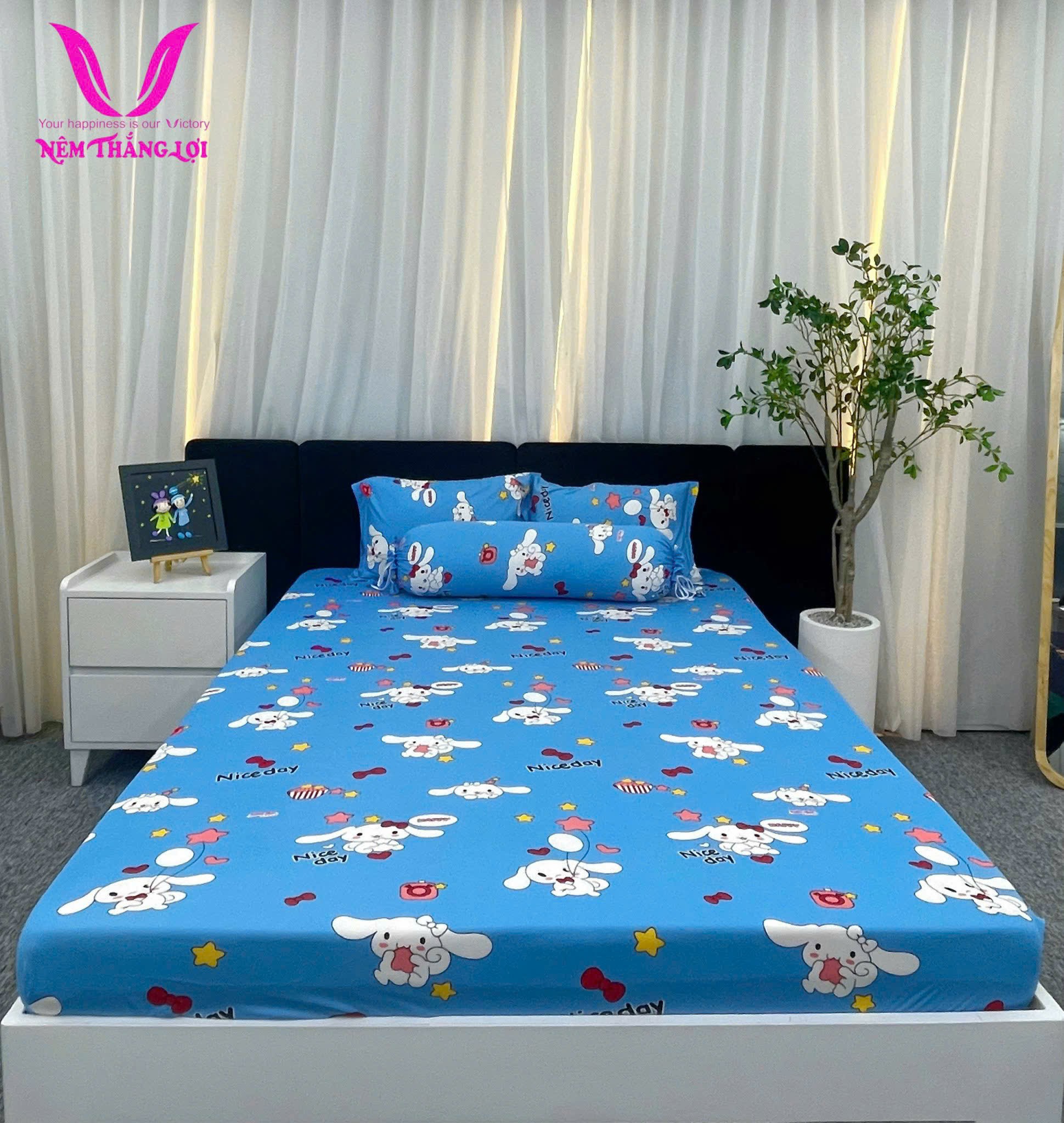 BỘ DRAP THUN THẮNG LỢI