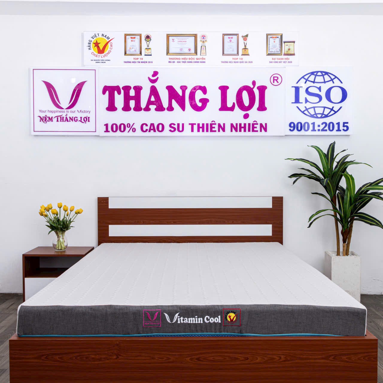 NỆM CAO SU ĐIỀU HOÀ VITAMIN COOL THẮNG LỢI