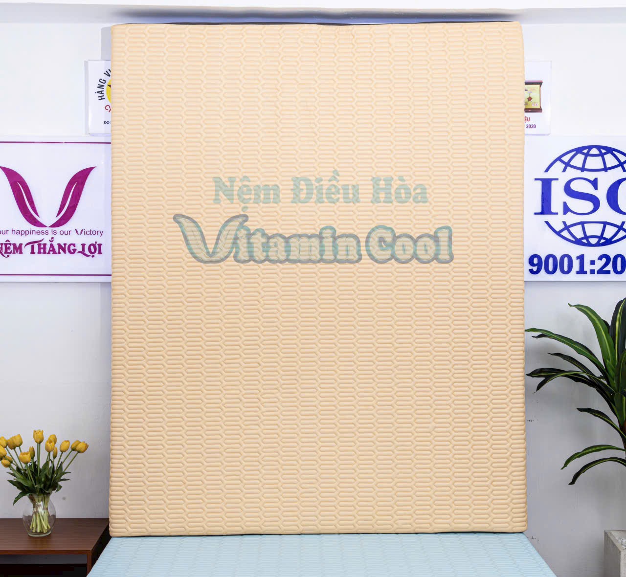 NỆM CAO SU ĐIỀU HOÀ VITAMIN COOL THẮNG LỢI
