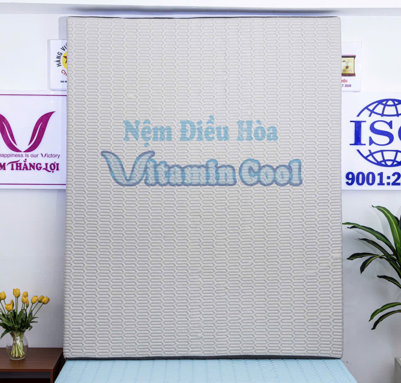 NỆM CAO SU ĐIỀU HOÀ VITAMIN COOL THẮNG LỢI