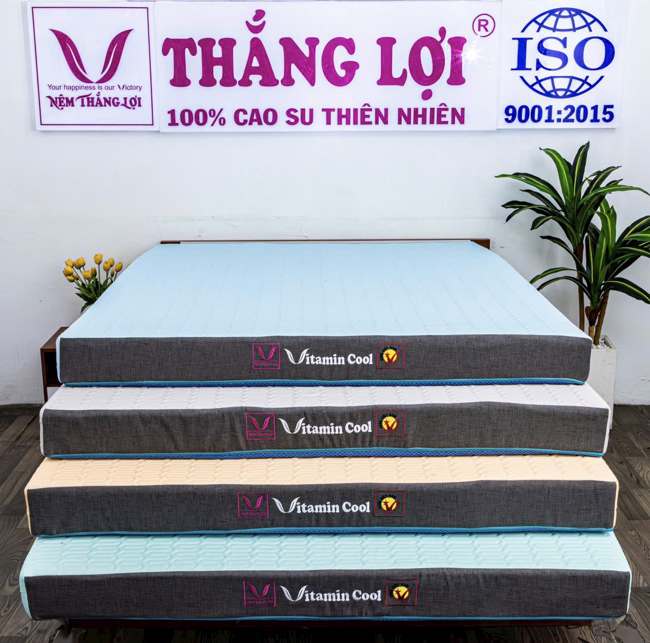 NỆM CAO SU ĐIỀU HOÀ VITAMIN COOL THẮNG LỢI