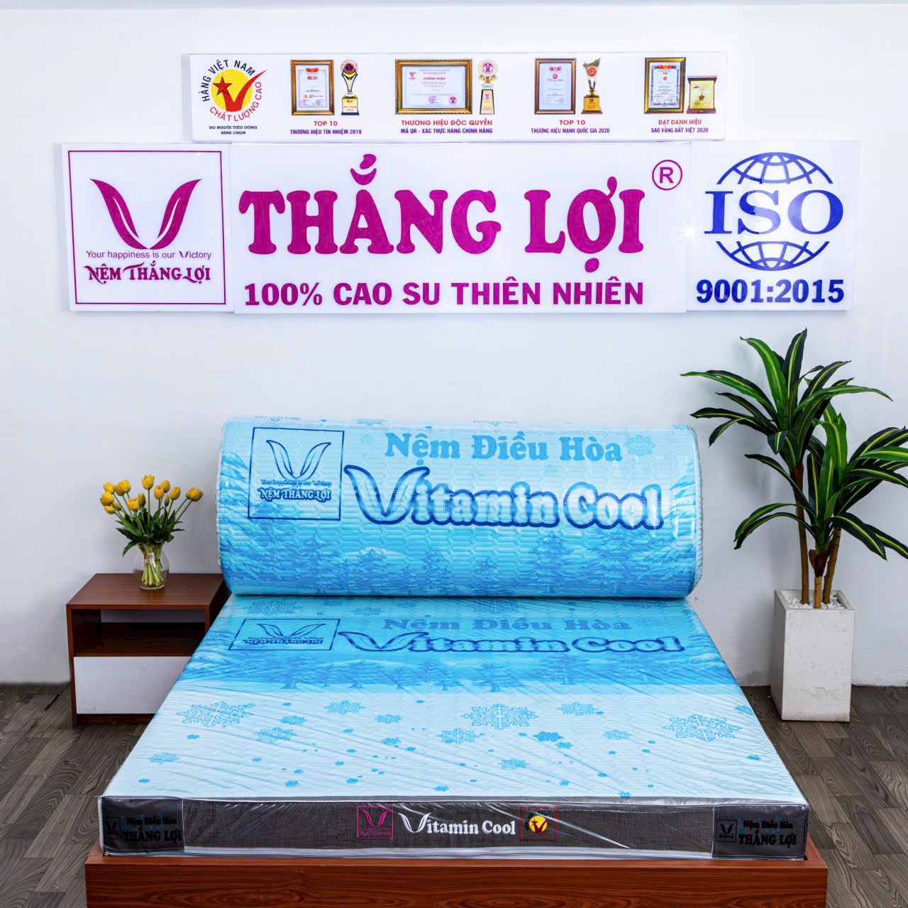 NỆM CAO SU ĐIỀU HOÀ VITAMIN COOL THẮNG LỢI