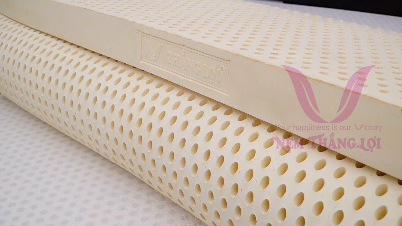 NỆM 100% CS THIÊN NHIÊN TITI DOUBLE FUNCTION