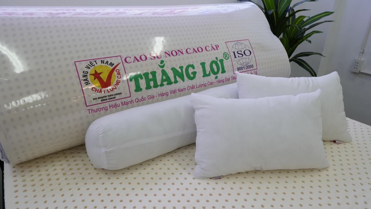 NỆM CAO SU NON CAO CẤP THẮNG LỢI