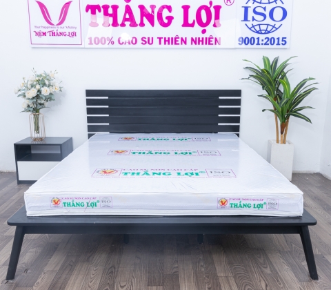 NỆM CAO SU NON CAO CẤP THẮNG LỢI