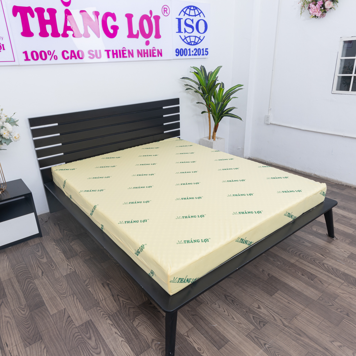 NỆM CSN MASSAGE THẮNG LỢI