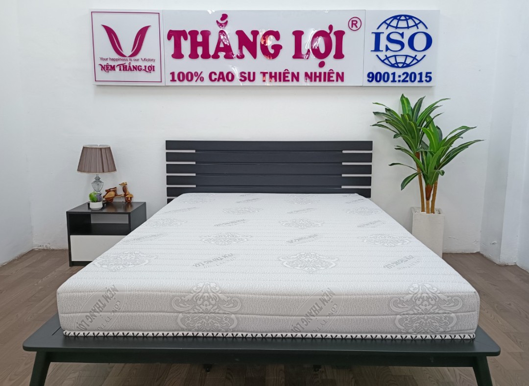 NỆM MEMORY FOAM THẮNG LỢI