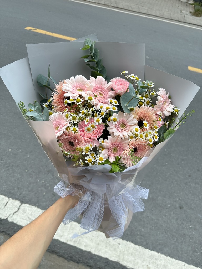 Bó đồng tiền mix tana