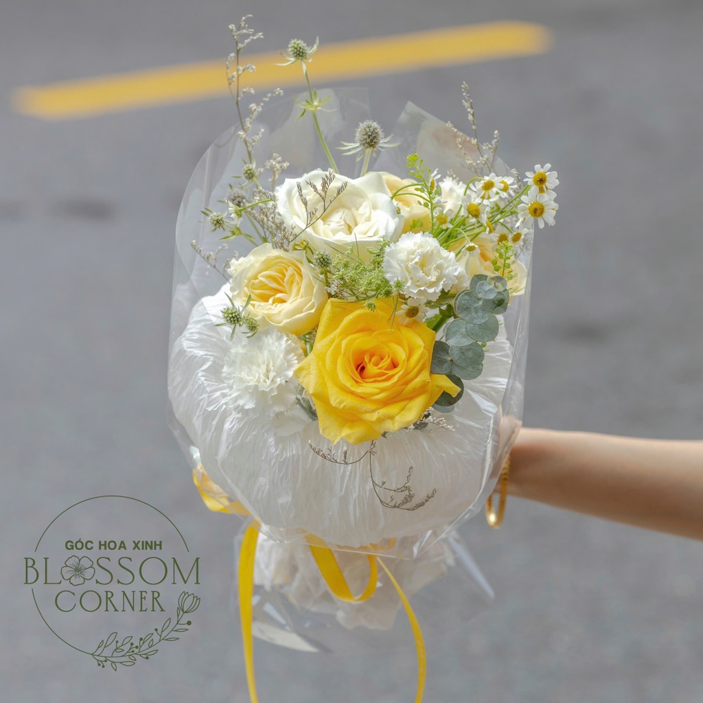 Bó hoa đồng tiền mix SP000122