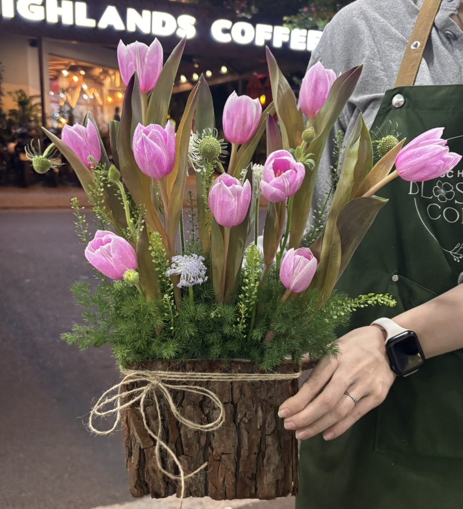 chậu tulip