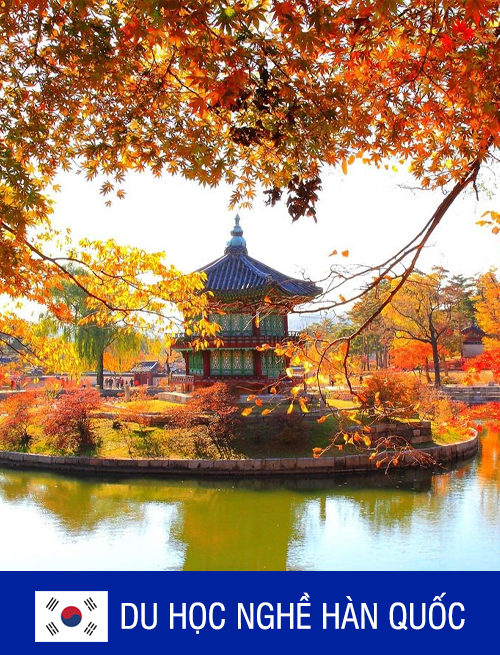 DU HỌC NGHỀ HÀN QUỐC