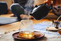 Chuyện về Đất và Trà những trăn trở giai đoạn khởi đầu