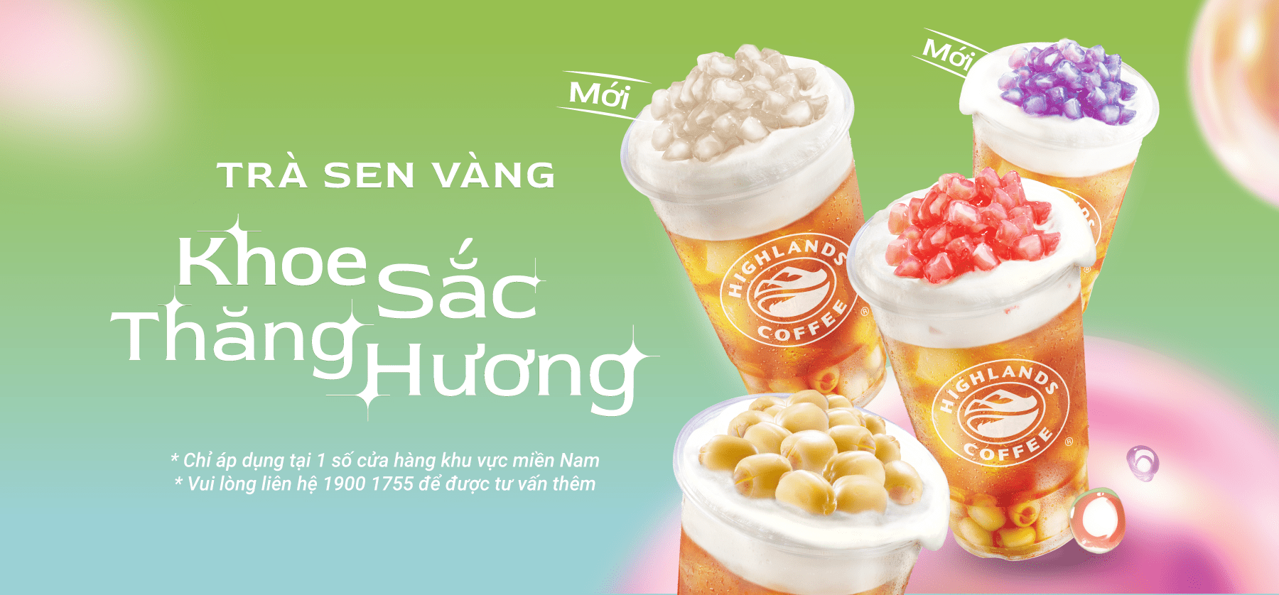 KHOE SẮC THĂNG HƯƠNG – TRÀ SEN VÀNG (MỚI) ĐÃ CÓ MẶT