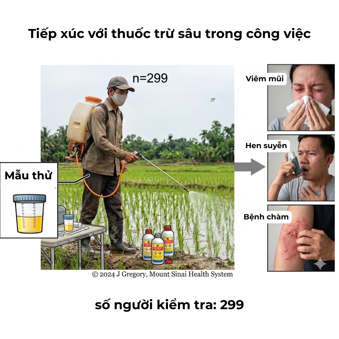 Các vấn đề về hô hấp và dị ứng ở người lao động nông nghiệp tiếp xúc với thuốc bảo vệ thực vật tại Costa Rica