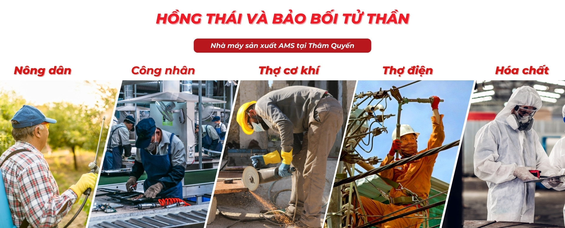 Hồng Thái Safety