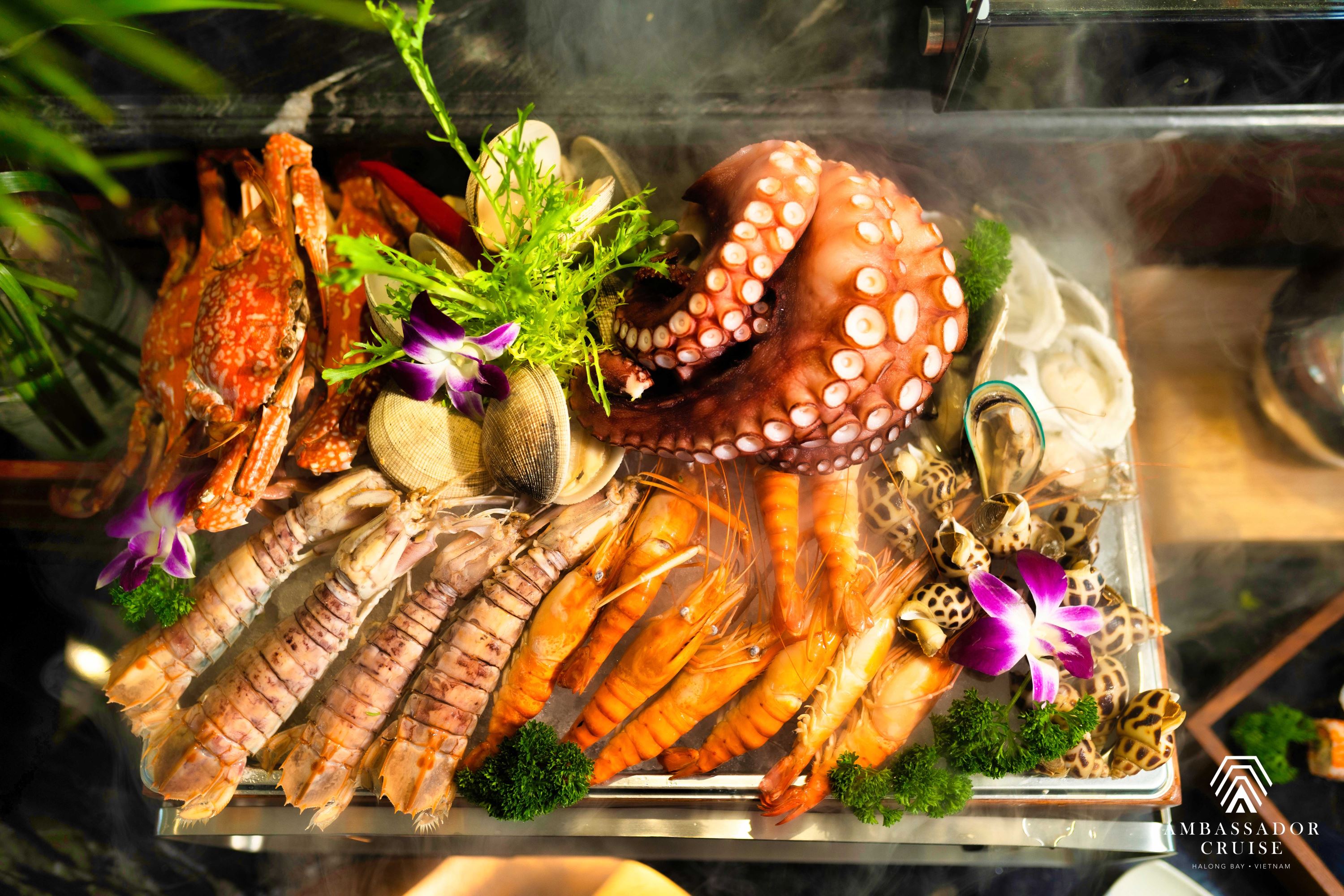 AMBASSADOR CRUISE II - Trọn Gói Nghỉ Dưỡng Cao Cấp 2 Ngày 1 Đêm