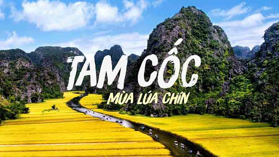 Cẩm Nang Du Lịch Ninh Bình
