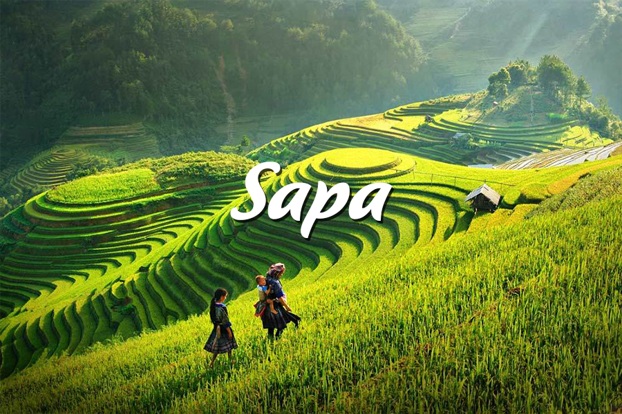 Cẩm Nang Du Lịch SAPA