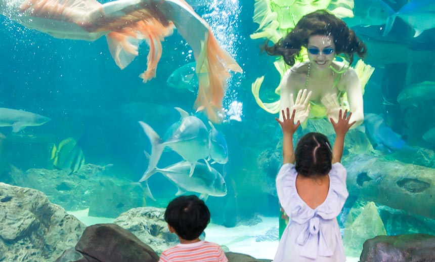 VinKE & Vinpearl Aquarium Hà Nội