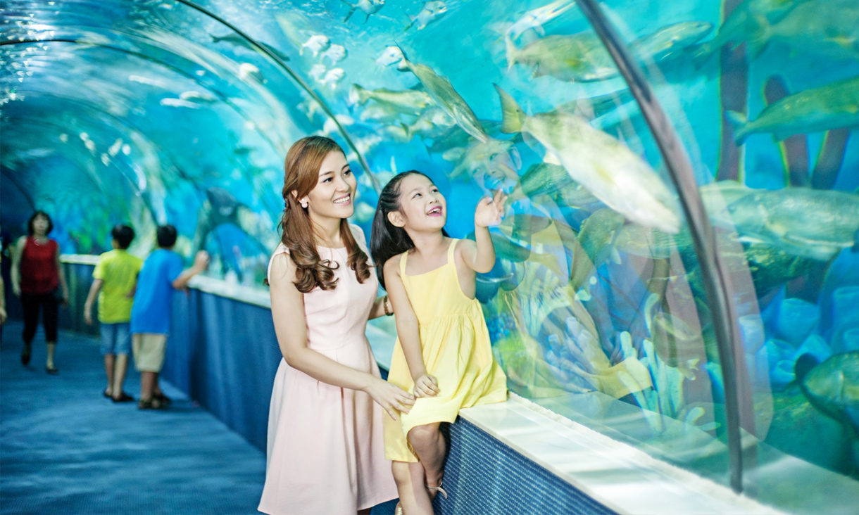VinKE & Vinpearl Aquarium Hà Nội