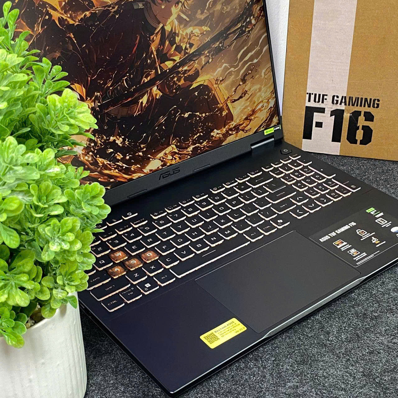 ASUS TUF GAMING F16 2025 (Core i5-14450HX, RTX 5050 8Gb) - 99% FULLBOX