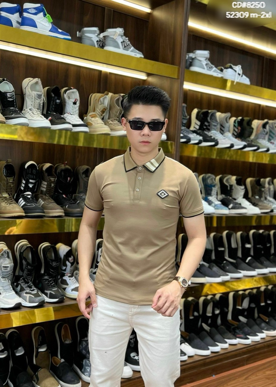 Áo phông Quảng Châu cao cấp 11135