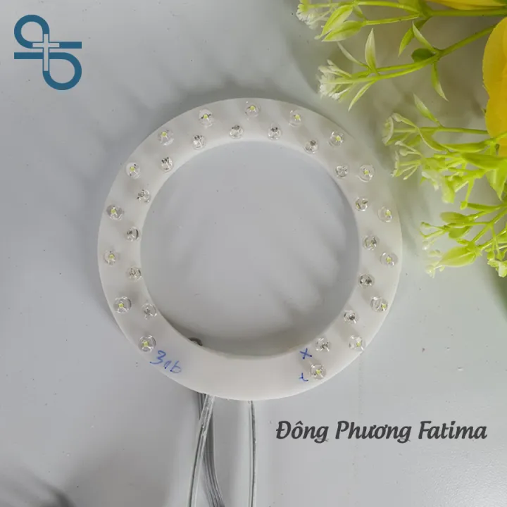 VÒNG LED ĐÔI XANH TRẮNG 10CM