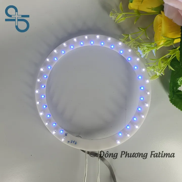 VÒNG LED ĐÔI 51B XANH TRẮNG 15CM